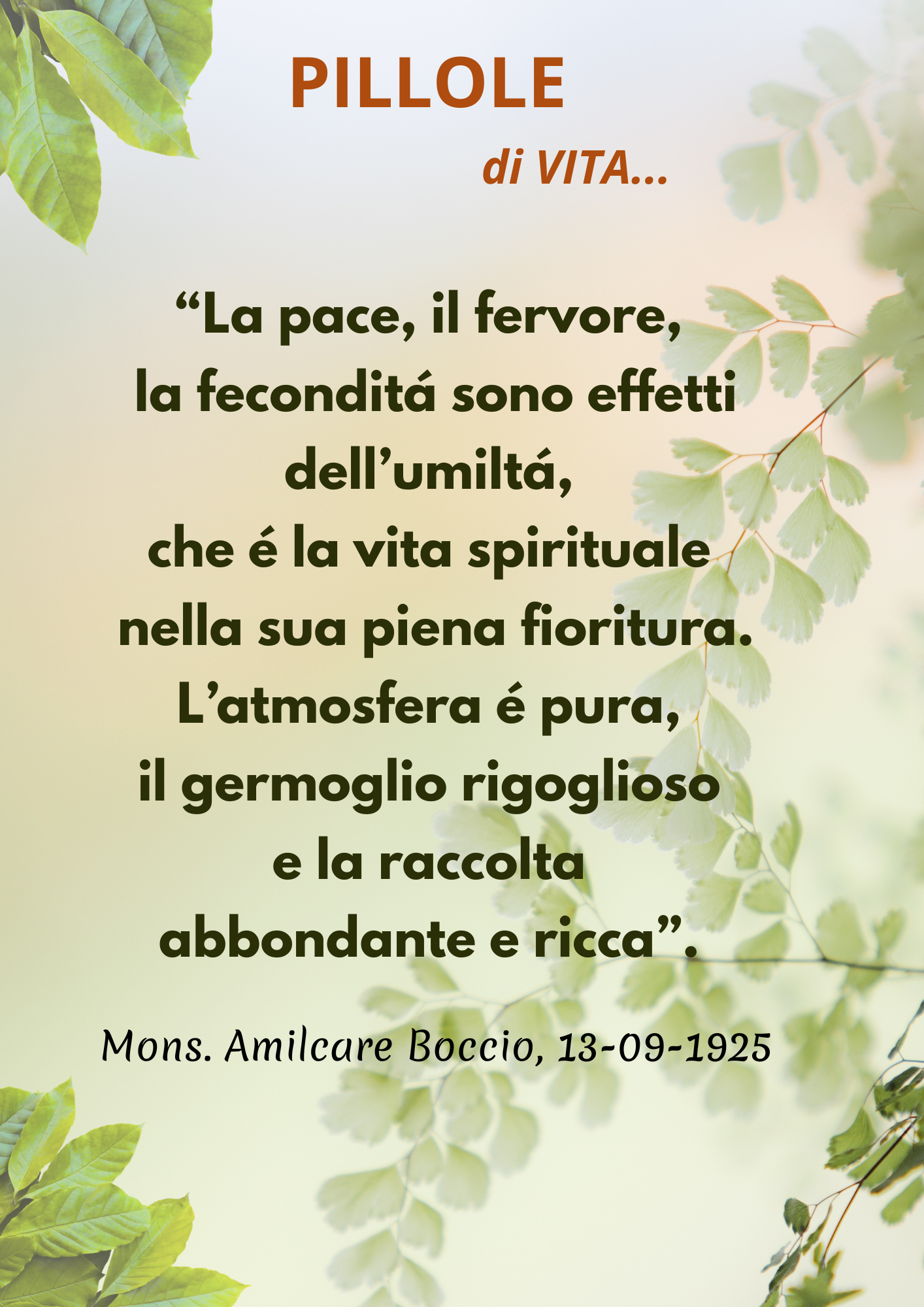 Piccole Figlie del Sacro Cuore di Ges&ugrave;